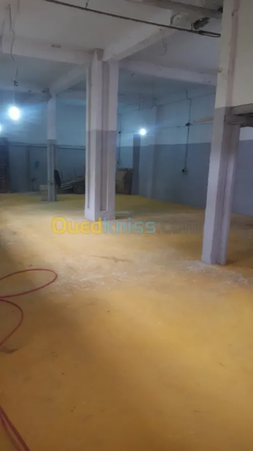 Location Local Tlemcen Tlemcen