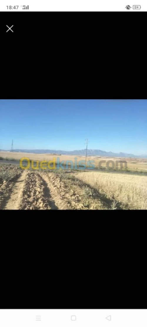 Vente Terrain Agricole Bouira Bouira