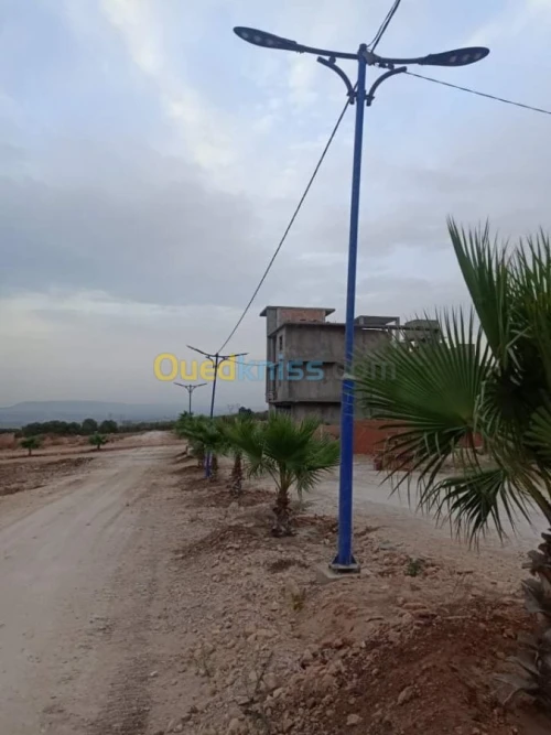 Vente Terrain Mostaganem Hassi maameche