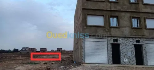Vente Terrain Mostaganem Hassi maameche