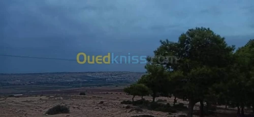 Vente Terrain Mostaganem Hassi maameche