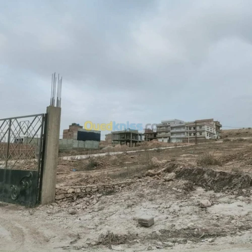 Vente Terrain Mostaganem Hassi maameche