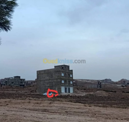 Vente Terrain Mostaganem Hassi maameche