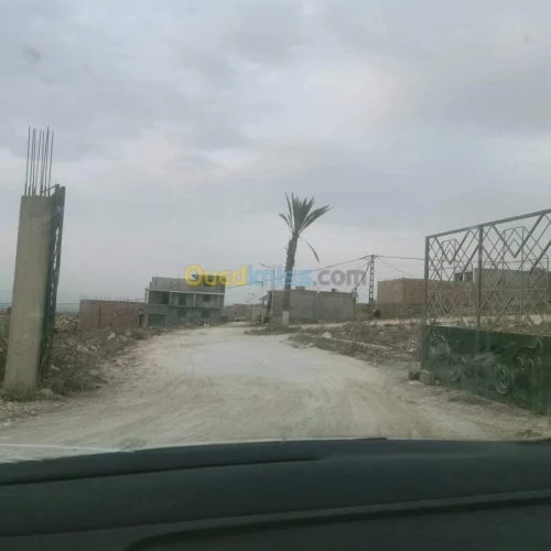 Vente Terrain Mostaganem Hassi maameche