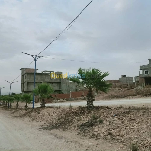 Vente Terrain Mostaganem Hassi maameche