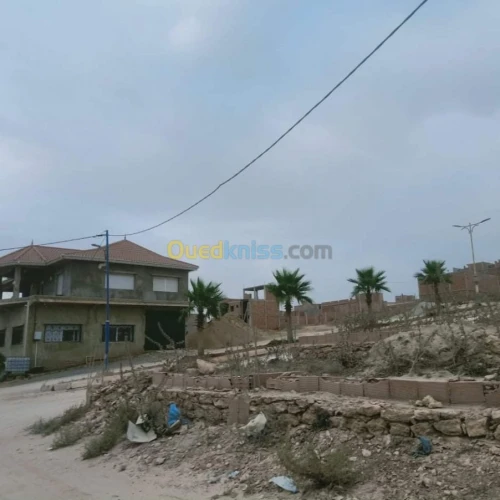 Vente Terrain Mostaganem Hassi maameche
