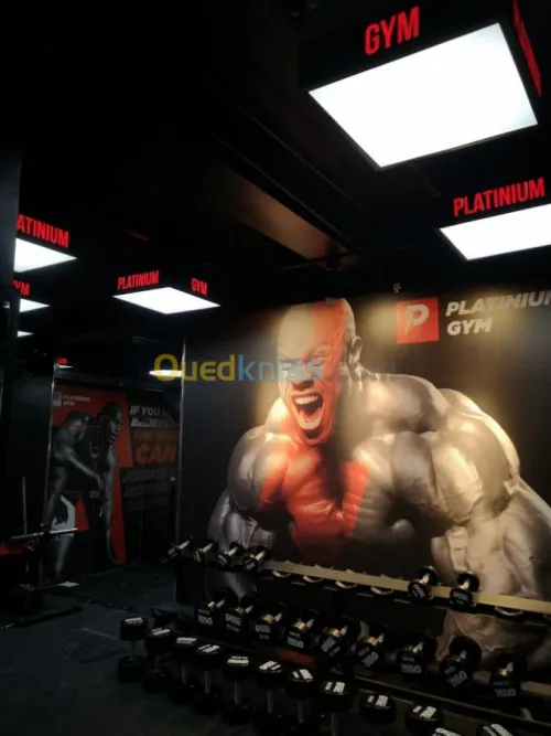 Vente Équipement de Musculation 