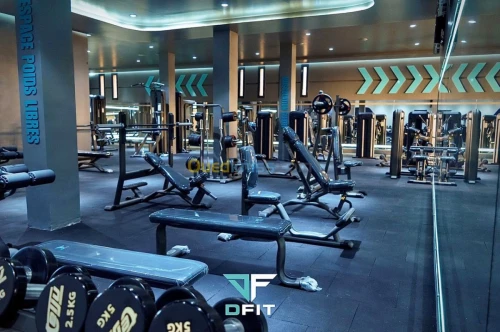 Vente Équipement de Musculation 