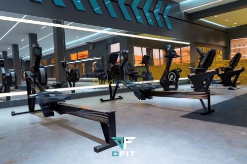 Vente Équipement de Musculation 