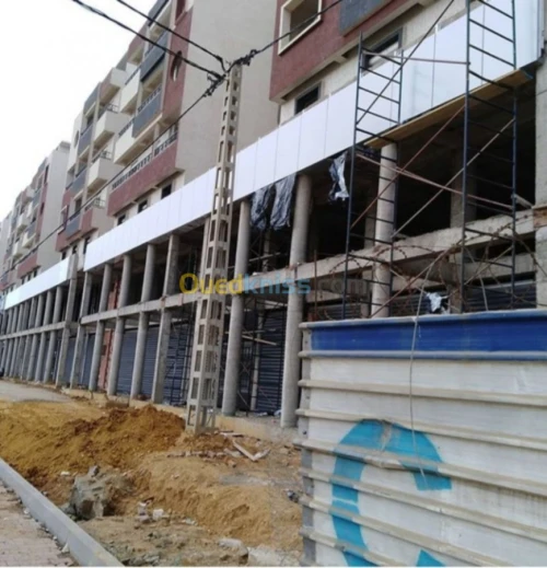 Décoration façade dz
