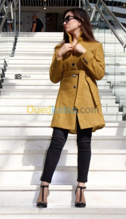 Manteau cachemire femme zara 
