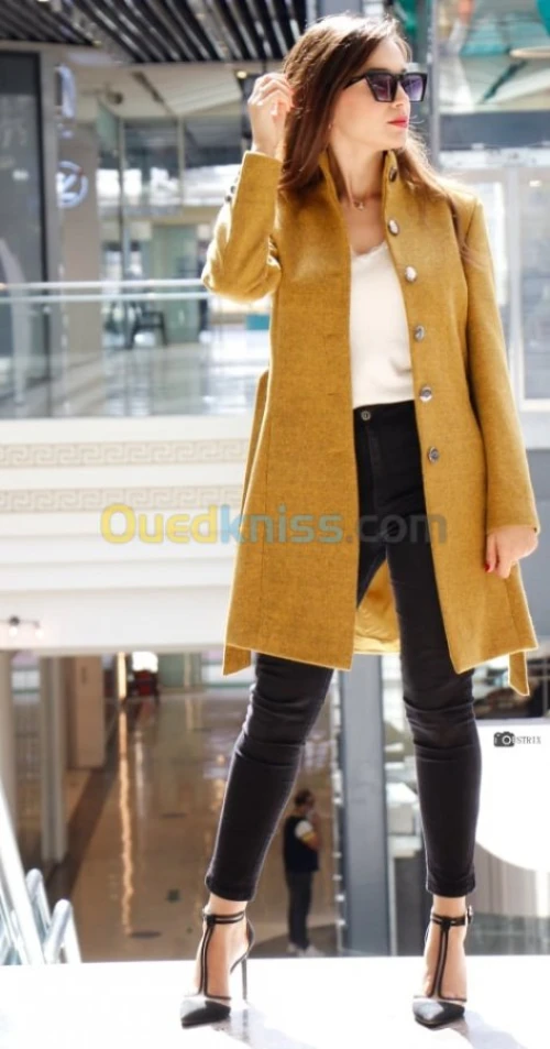 Manteau cachemire femme zara 