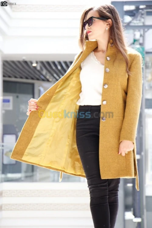 Manteau cachemire femme zara 