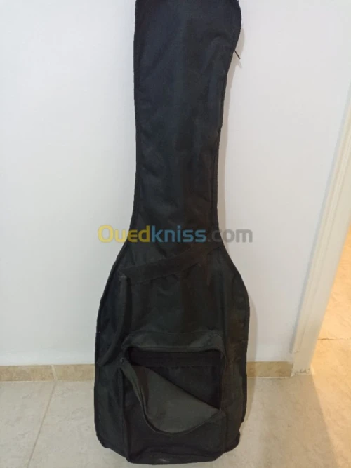 Guitare électrique Variax Line 6 