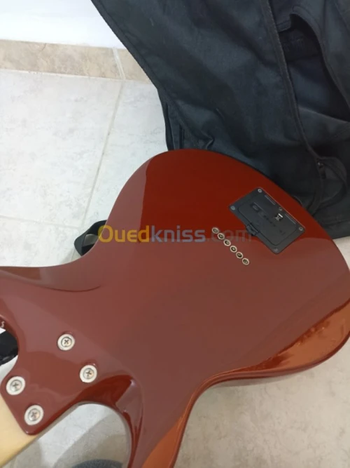 Guitare électrique Variax Line 6 