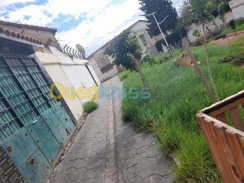 Vente Appartement Alger Bachdjerrah