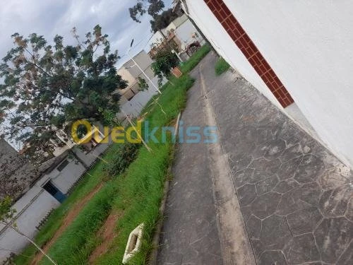 Vente Appartement Alger Bachdjerrah