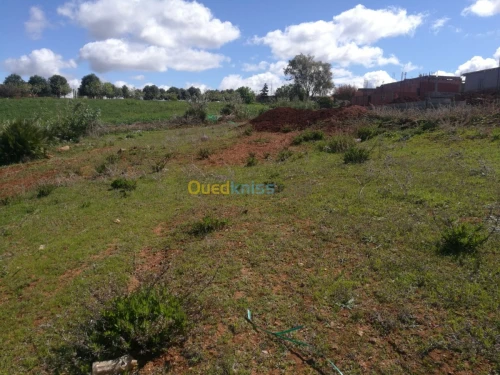 Vente Terrain Ain temouchent Sidi safi