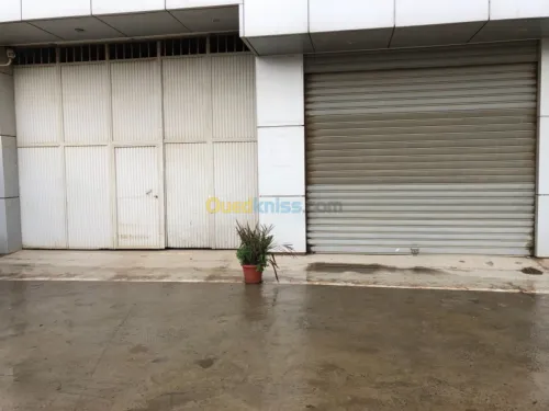 Location Local Blida Ouled selama