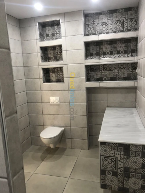 Placoplatre peinture carlage 