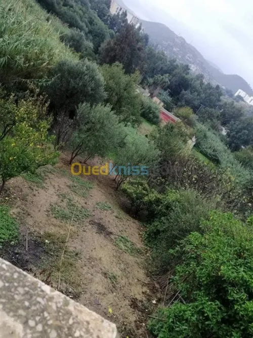 Vente Villa Boumerdes Thenia