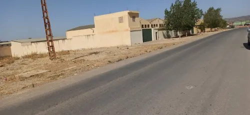 Vente Terrain Tiaret Tiaret
