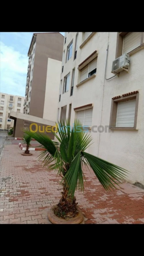Vente Appartement Alger Mohammadia