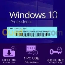 Windows 10, 11, Office 2019, 2016, 365