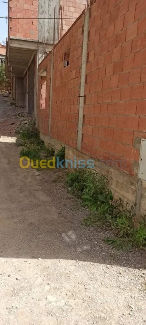 Vente Carcasse Alger Douera