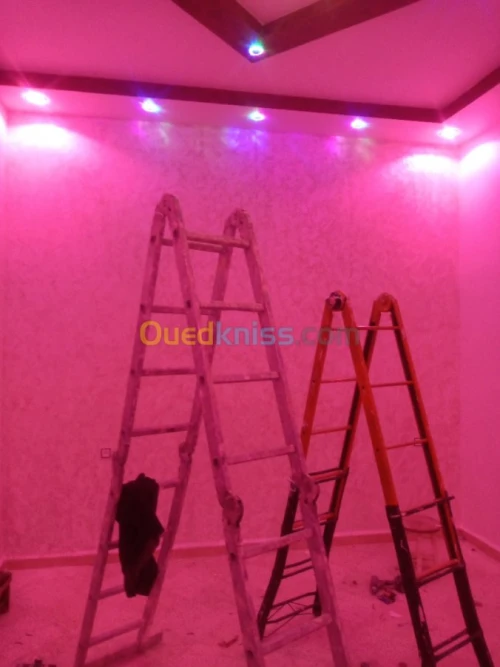 Décoration penture et placo plâtre BA1