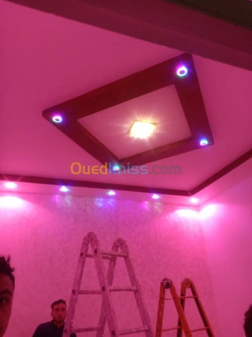 Décoration penture et placo plâtre BA1