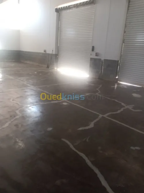Décoration penture et placo plâtre BA1