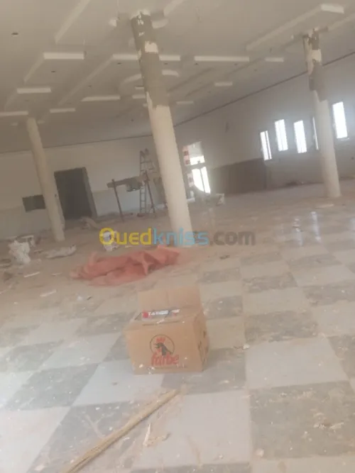 Décoration penture et placo plâtre BA1