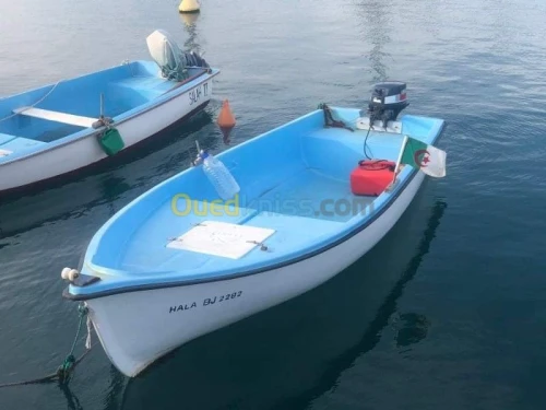 Barques 4,80  moteur Yamaha