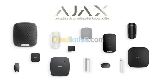 Installation Alarme professionnel 