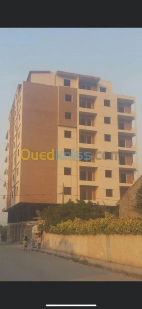 PEINTURE FACADES Et MONOCOUCHE