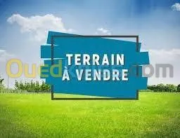 Vente Terrain Tipaza Hadjout