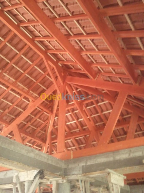 grenier ,trap,escalier escamotable .ch