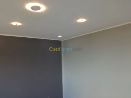 Revêtement intérieur et extérieur 