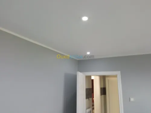 Revêtement intérieur et extérieur 