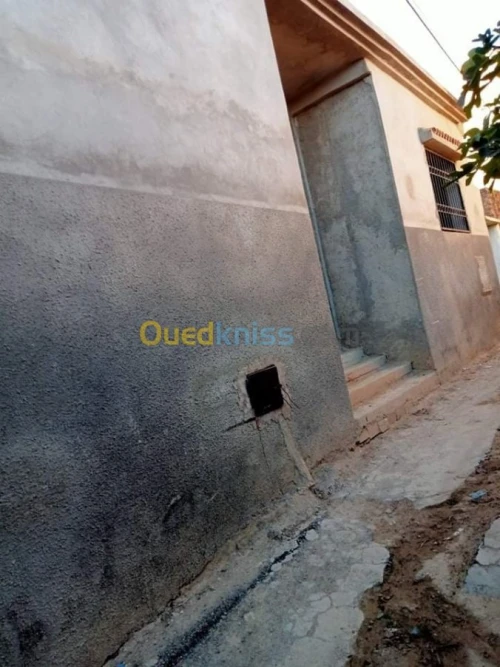 Vente Carcasse Tlemcen Tlemcen