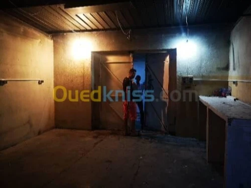 Location Local Constantine Constantine
