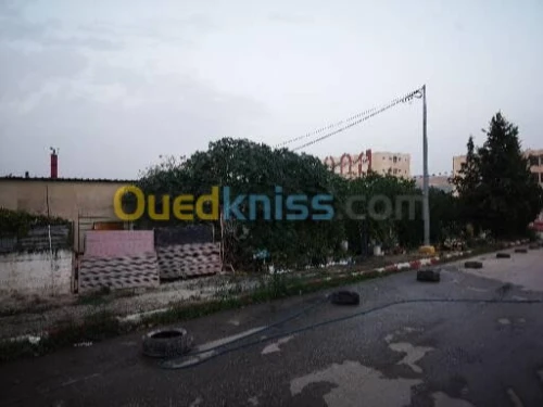 Location Local Constantine Constantine