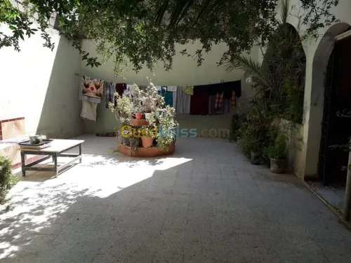 Vente Villa Sidi bel abbes Belarbi