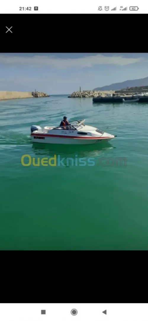 Vedette Mercury mariner