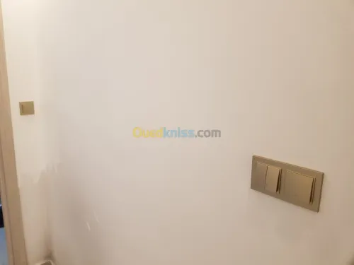 كهرباء عامة