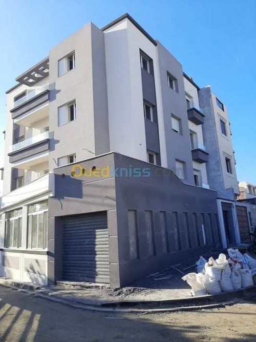 Peinture Facade En Monocouche