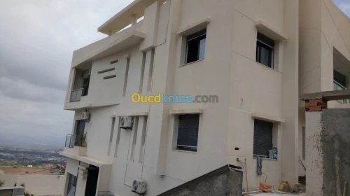 Peinture Facade En Monocouche