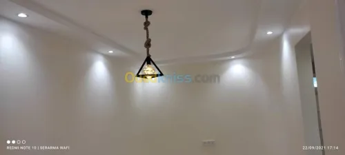 Peintre professionnel