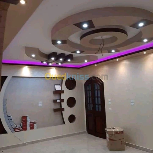 Peintre professionnel